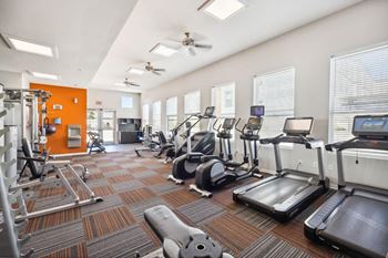 A gym with treadmills, elliptical machines, and other exercise equipment